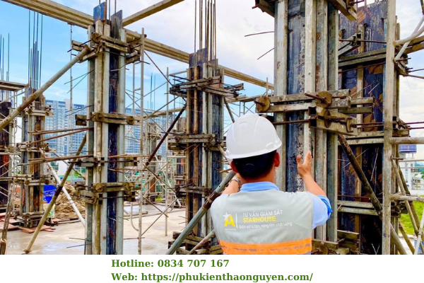 tyren bát chuồn d17