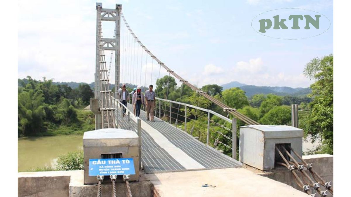 ứng dụng cáp lụa