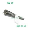 cap-thep-5-ly