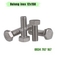 Bulong inox 12x150